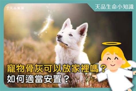 寵物骨灰放家裡好嗎|【天品生命小知識】寵物骨灰可以放家裡嗎？如何適當。